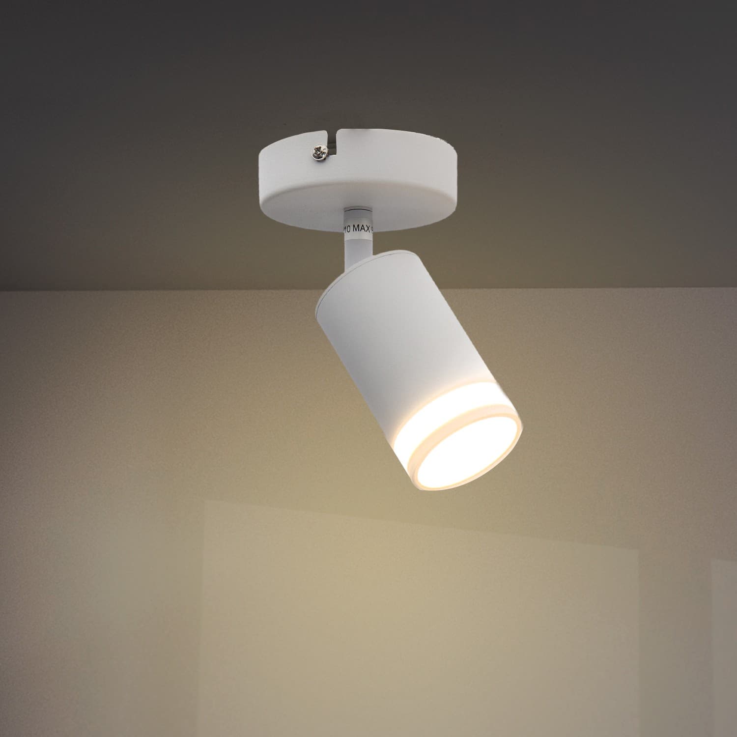 Lámpara de Techo Serie White álamos 1 Focos Gu10